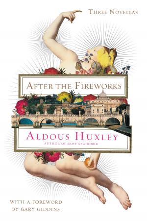 Cover of the book After the Fireworks by Chad Kultgen
