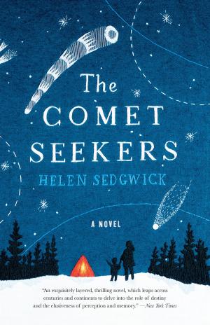 Cover of the book The Comet Seekers by Bernard Cornwell