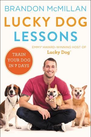 Cover of the book Lucky Dog Lessons by Cheryl Richardson
