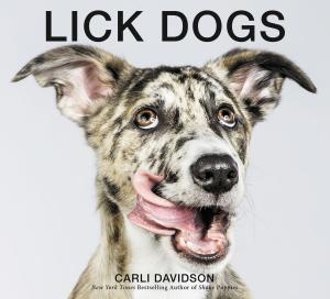 Cover of the book Lick Dogs by Manel Gutiérrez Couto