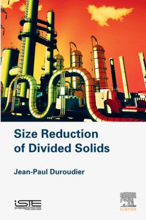 Book cover of Size Reduction of Divided Solids