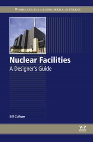 Cover of the book Nuclear Facilities by Isaak D. Mayergoyz