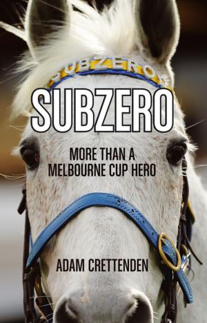 Cover of the book Subzero by Michelle Cooper