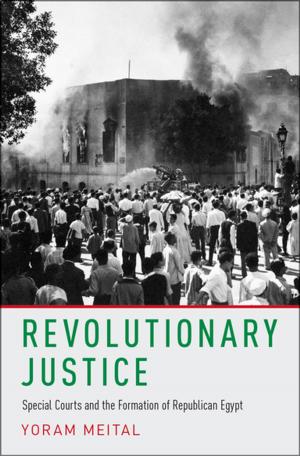 Cover of the book Revolutionary Justice by Fallou Ngom