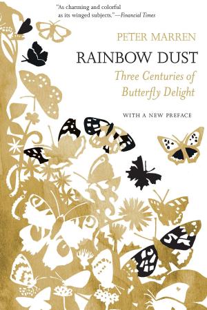 Cover of the book Rainbow Dust by Lisa Downing