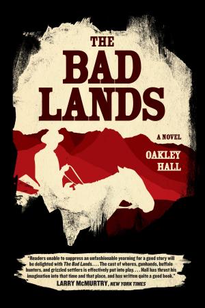 Book cover of The Bad Lands