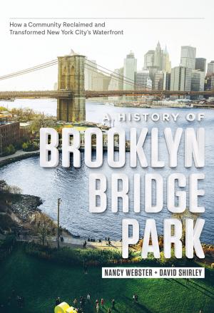 Cover of the book A History of Brooklyn Bridge Park by James Liebman, Shawn Crowley, , J.D., Andrew Markquart, , J.D., Lauren Rosenberg, , J.D., Lauren White, , J.D., Daniel Zharkovsky, , J.D.