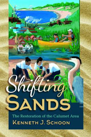 Cover of the book Shifting Sands by Cornelia Aust