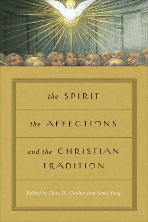 bigCover of the book The Spirit, the Affections, and the Christian Tradition by 