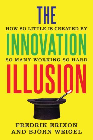 Cover of the book The Innovation Illusion by Professor Richard Harvey Brown