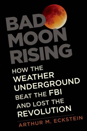Cover of the book Bad Moon Rising by Mark Tushnet