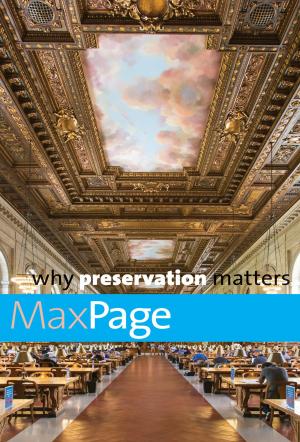 Cover of the book Why Preservation Matters by Miljenko Jergovic