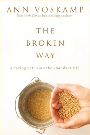 Cover of the book The Broken Way (with Bonus Content) by Kevin Johnson