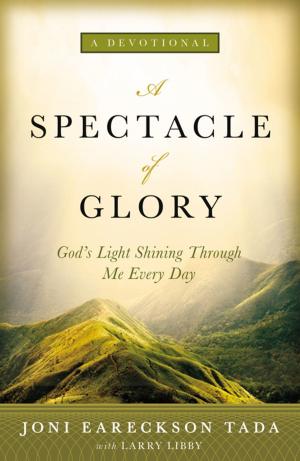 Book cover of A Spectacle of Glory