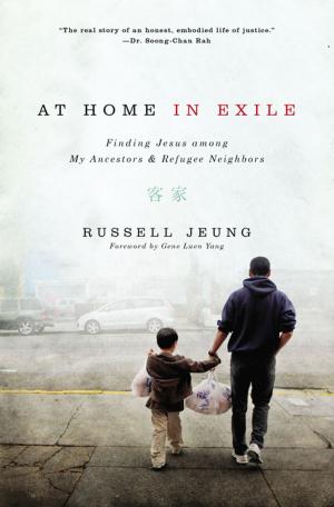 Book cover of At Home in Exile