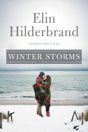 Cover of the book Winter Storms by Rob Duder
