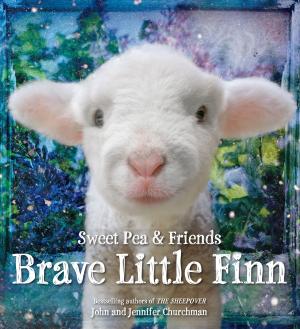 Book cover of Brave Little Finn