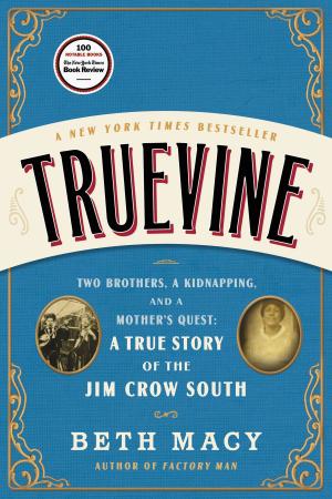 Cover of the book Truevine by Owen Laukkanen