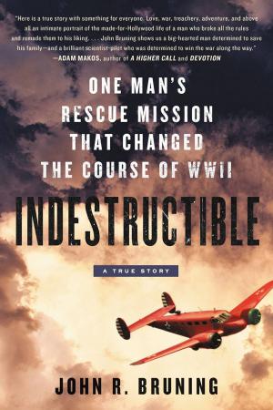 Cover of the book Indestructible by Elaine St. James