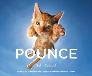 Cover of the book Pounce by James Patterson