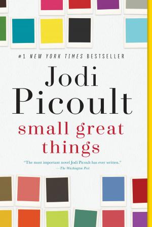 Book cover of Small Great Things