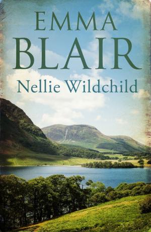 Cover of the book Nellie Wildchild by Barbara Cardy