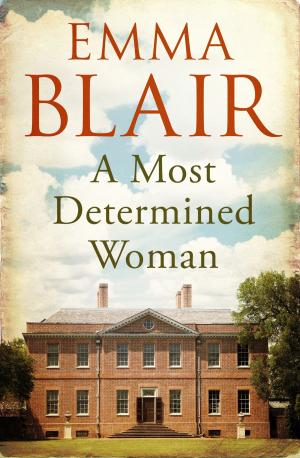 Cover of the book A Most Determined Woman by Joel Lane, Kirstyn McDermott, Brian Hodge