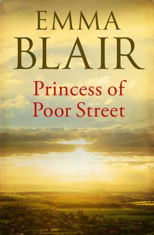 Cover of the book Princess of Poor Street by Robert Lyman