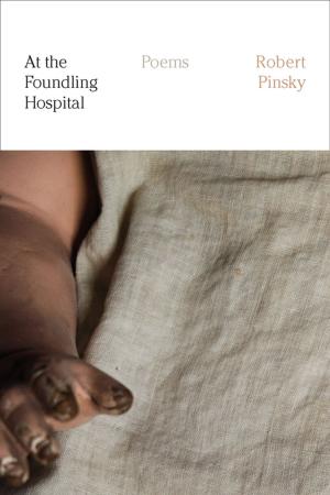 Cover of the book At the Foundling Hospital by Jake Halpern