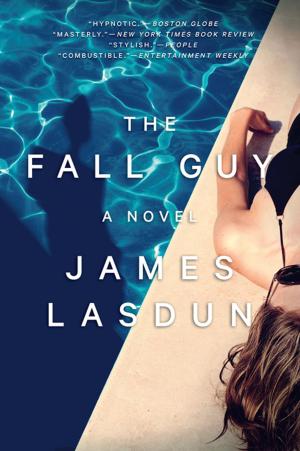 Cover of the book The Fall Guy: A Novel by Andrea Barrett