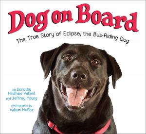 Cover of the book Dog on Board by Michael Miller, AdriAnne Strickland