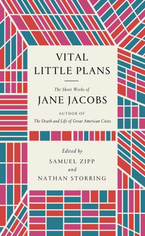 Cover of the book Vital Little Plans by Karen Truesdell Riehl