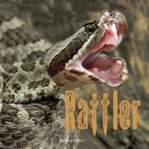 Cover of the book Rattler by Traci Chee