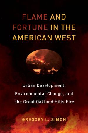 Book cover of Flame and Fortune in the American West