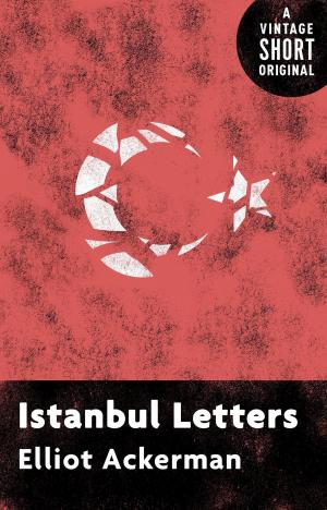 Cover of Istanbul Letters