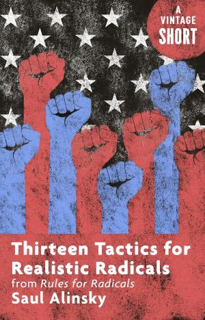 Cover of the book Thirteen Tactics for Realistic Radicals by Joseph Volpe, Charles Michener