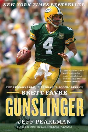 Book cover of Gunslinger