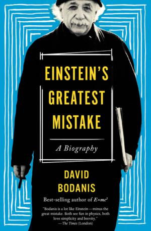 Cover of the book Einstein's Greatest Mistake by Christoph Irmscher