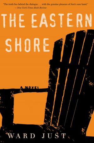 Cover of the book The Eastern Shore by John Barth