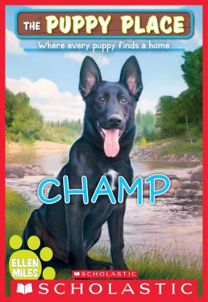Cover of the book Champ (The Puppy Place #43) by Phil Callaway