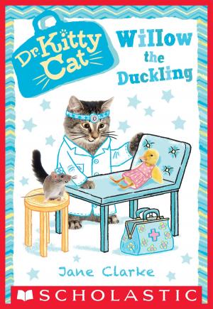 Book cover of Willow the Duckling (Dr. KittyCat #4)