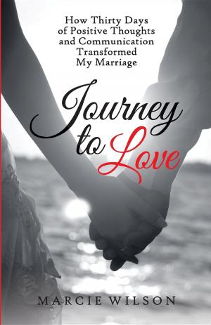 bigCover of the book Journey to Love by 
