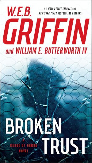 Cover of the book Broken Trust by Simon Duke