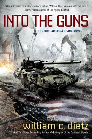 Cover of the book Into the Guns by Gerardo Palacios Martínez