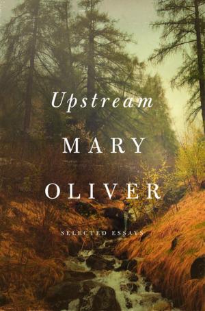 Cover of the book Upstream by S. M. Stirling