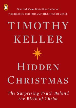 Cover of the book Hidden Christmas by Brenda J. Child