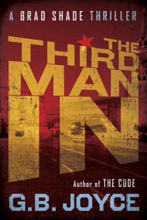 bigCover of the book The Third Man In by 