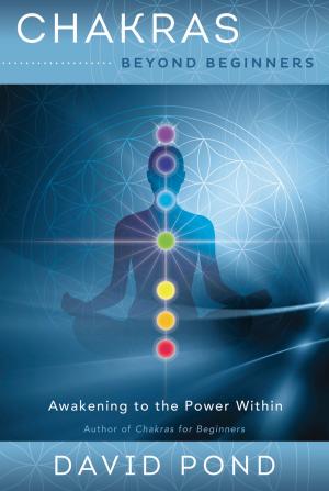 Book cover of Chakras Beyond Beginners