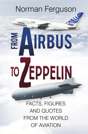 Cover of the book From Airbus to Zeppelin by David Hilliam
