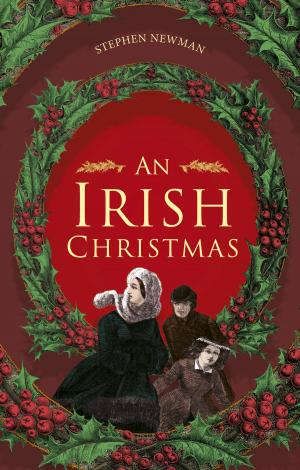 Cover of the book Irish Christmas by Seán O'Leary